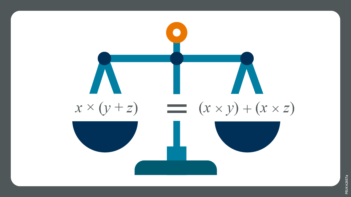 Algebraic Equation